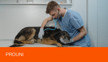 Prouni Medicina Veterinária: qual a nota de corte e como se inscrever?