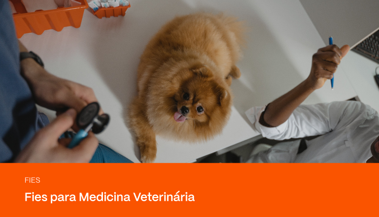 Fies Medicina Veterinária: veja como participar e qual a nota de corte