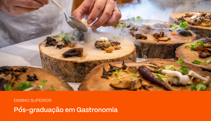 Pós-graduação em Gastronomia: Tudo que você precisa saber