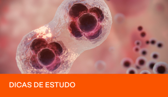 Divisão celular: entendendo a Meiose e Mitose Divisão celular: entendendo a Meiose e Mitose