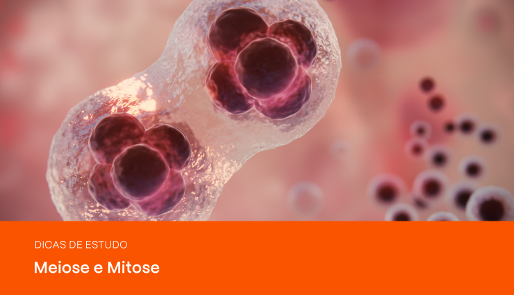 Divisão celular: entendendo a Meiose e Mitose