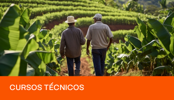 Curso Técnico em Agronegócio: saiba tudo sobre a profissão Curso Técnico em Agronegócio: saiba tudo sobre a profissão