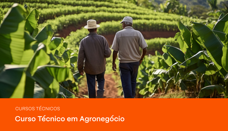 Curso Técnico em Agronegócio: saiba tudo sobre a profissão Curso Técnico em Agronegócio: saiba tudo sobre a profissão