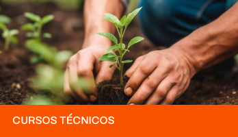 Cursos Técnicos – Eixo Tecnológico de Recursos Naturais