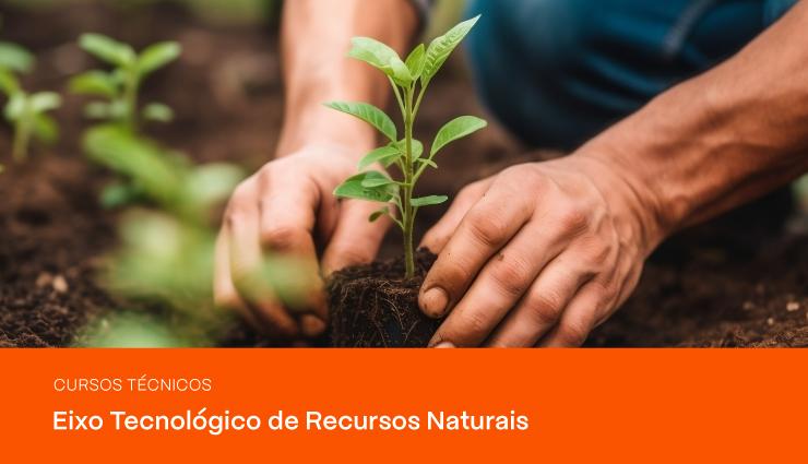 Cursos Técnicos – Eixo Tecnológico de Recursos Naturais