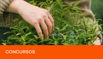 Concurso em Agronomia: provas, inscrições, salários e mais! Concurso em Agronomia: provas, inscrições, salários e mais!