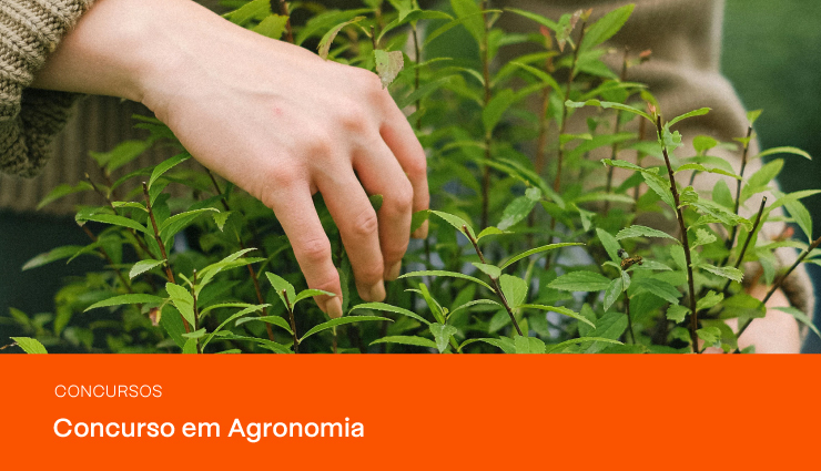 Concurso em Agronomia: provas, inscrições, salários e mais! Concurso em Agronomia: provas, inscrições, salários e mais!