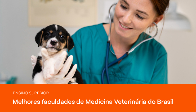 Descubra quais são as melhores faculdades de Medicina Veterinária do Brasil