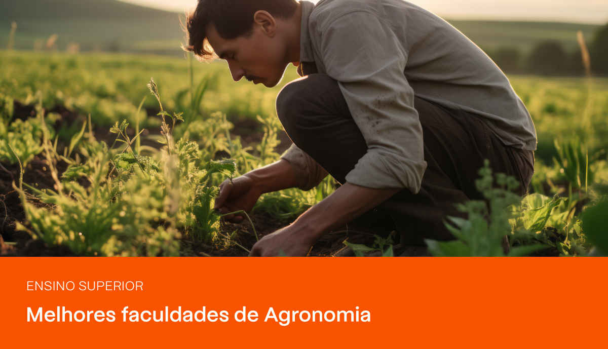 Lista das melhores faculdades de Agronomia | PRAVALER