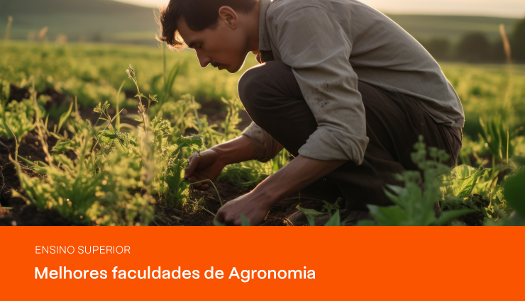 Descubra quais são as melhores faculdades de Agronomia do Brasil