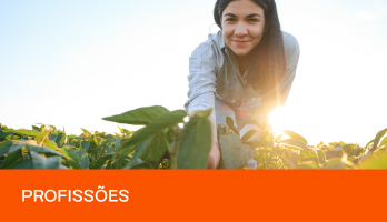 Mercado de trabalho em Agropecuária: saiba como trabalhar na área Mercado de trabalho em Agropecuária: saiba como trabalhar na área