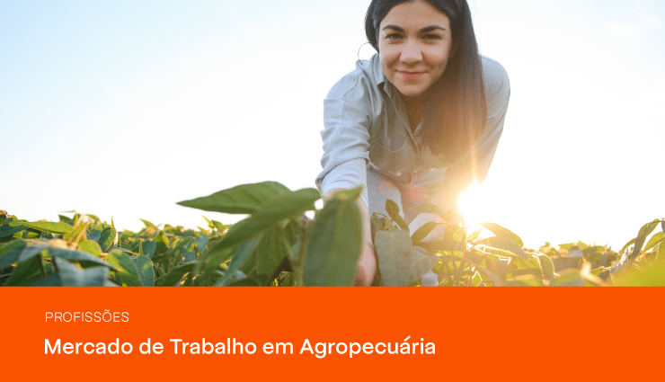 Mercado de trabalho em Agropecuária: saiba como trabalhar na área Mercado de trabalho em Agropecuária: saiba como trabalhar na área