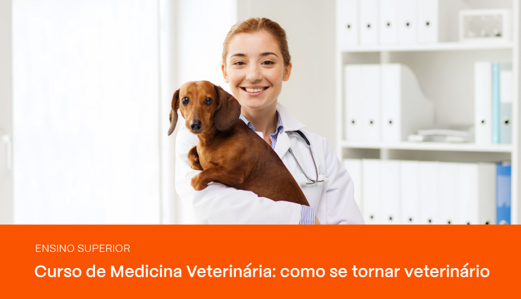 Curso de Medicina Veterinária: saiba como se tornar veterinário