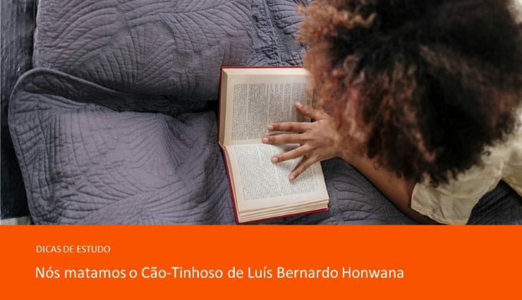 Conheça a obra de Luís Bernardo Honwana: Nós matamos o cão tinhoso! Conheça a obra de Luís Bernardo Honwana: Nós matamos o cão tinhoso!